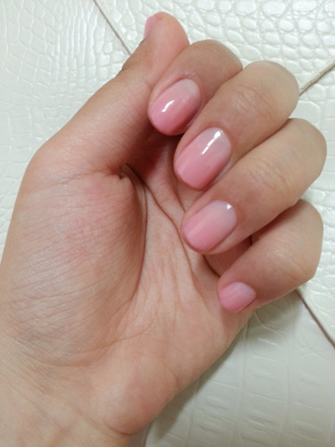 차칸쿡 이미지