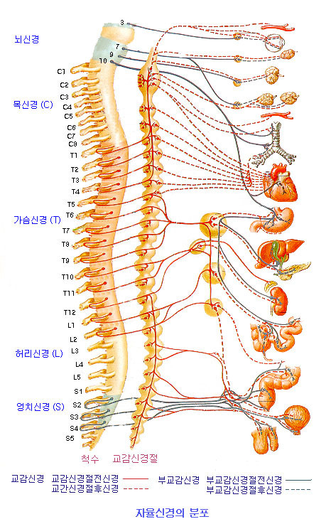 별체형관리 이미지
