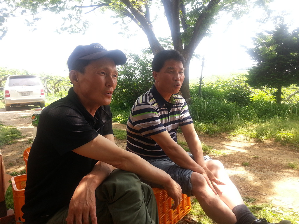 돌체다방 이미지