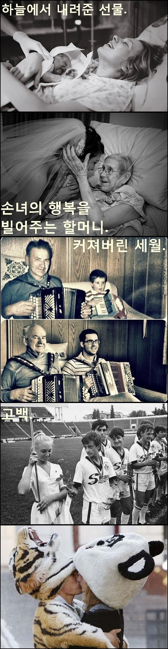 말로는 형언하기 힘든 사진 속 순간의 뭉클한 감정 45선.Jpeg | 인스티즈
