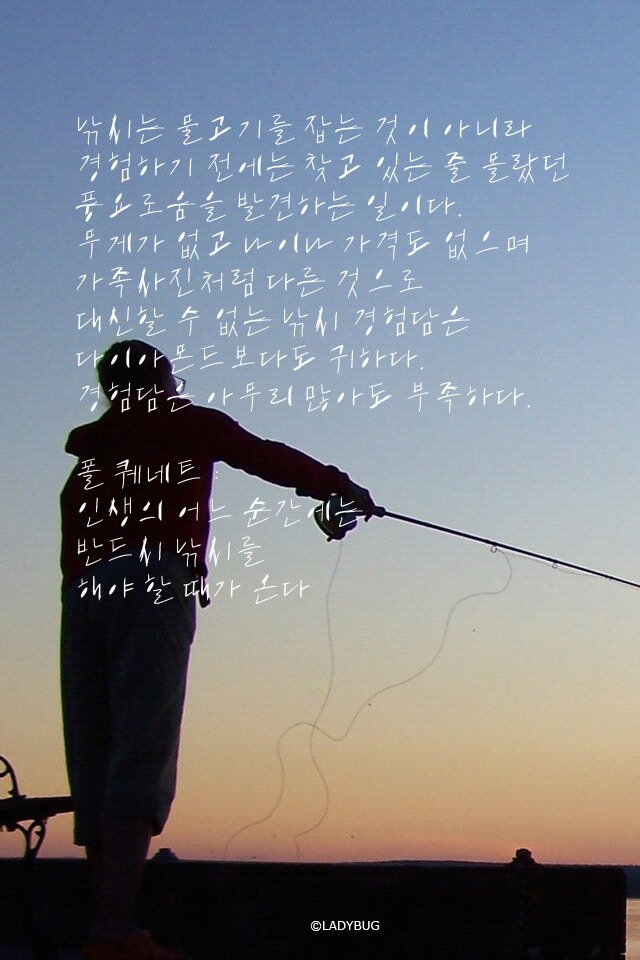 은빛물고기 이미지