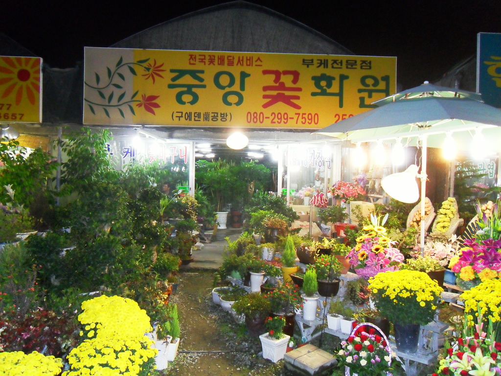 중앙꽃화원 이미지