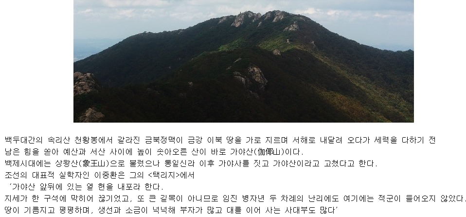 동우주유소 이미지