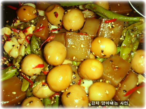 고향마루 이미지