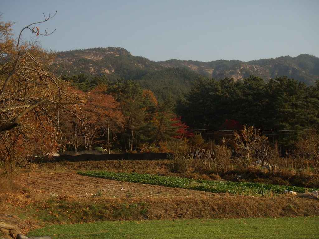 죽림식당 이미지