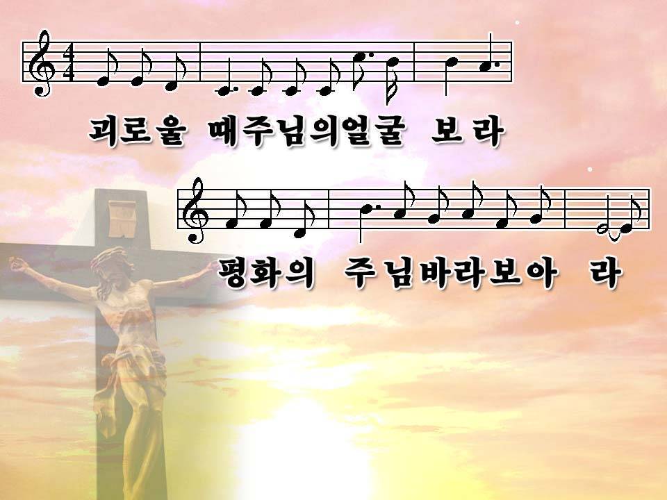 보라로운 이미지