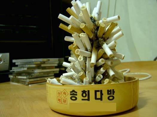 짱패션 이미지