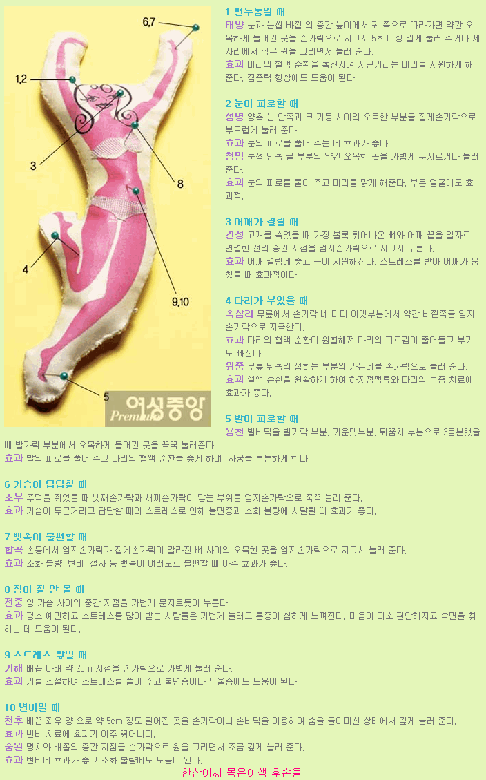 머리에서발끝까지 이미지
