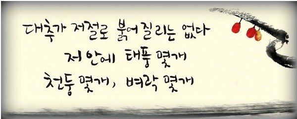 성실주유소 이미지
