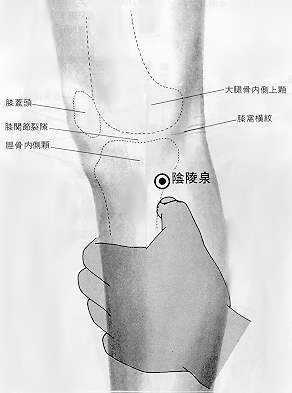 태음 이미지