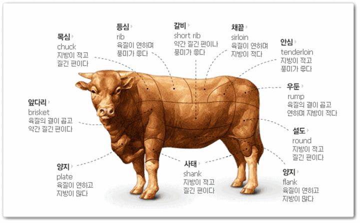 한우의힘 이미지