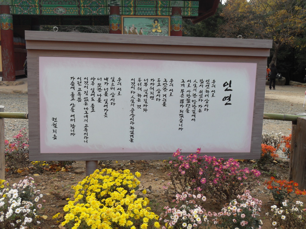 유성관 이미지