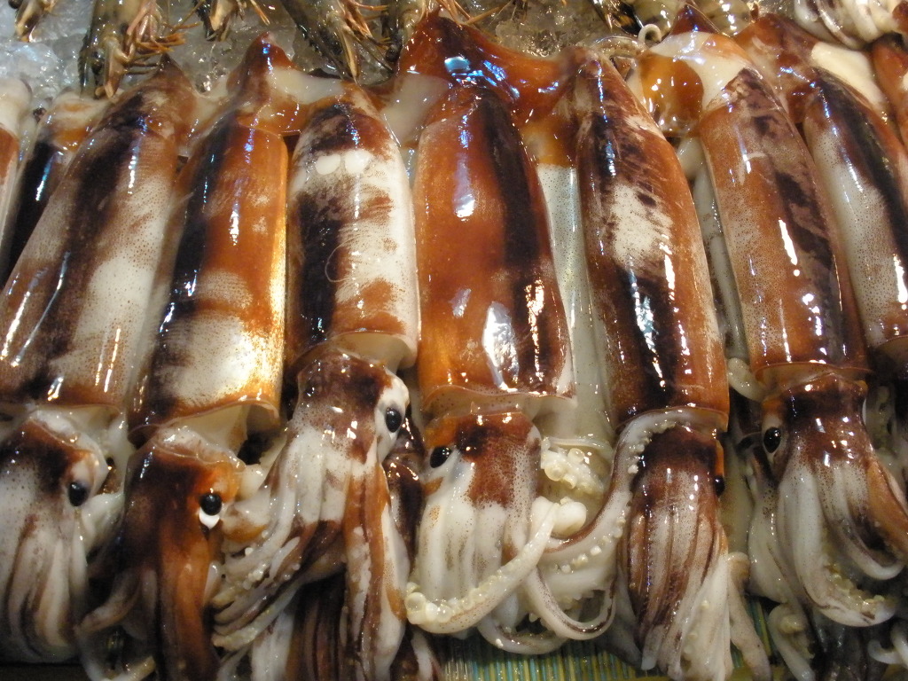인천수산 이미지