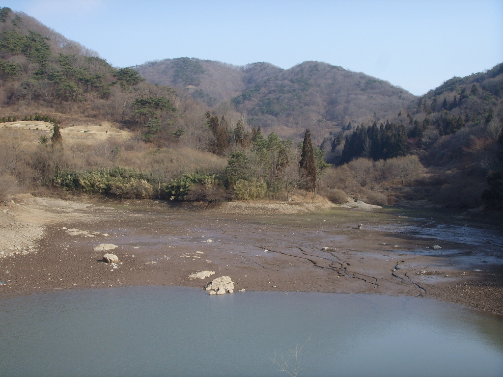 세랑 이미지