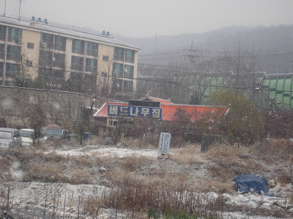 황제카센타 이미지