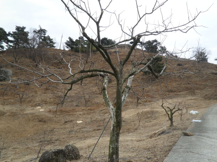 불암산성 이미지