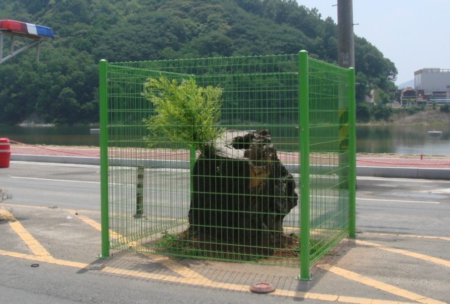 티운 이미지