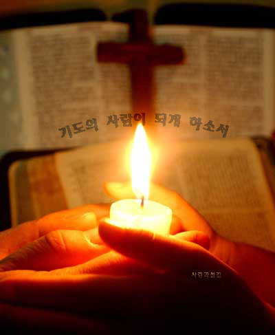 조*진 이미지