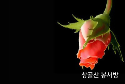 쁄라 이미지
