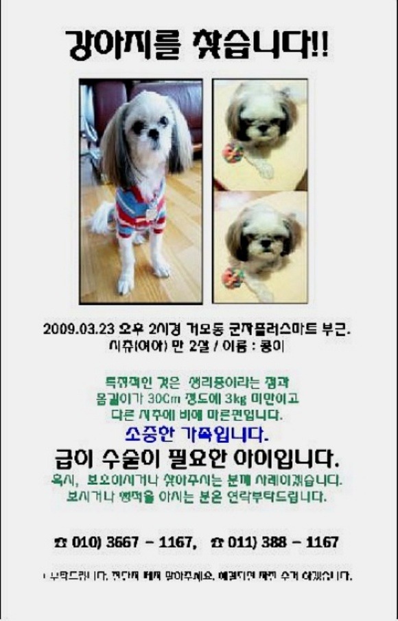 도일초등학교 이미지