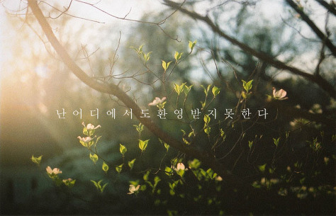 더블리나 이미지