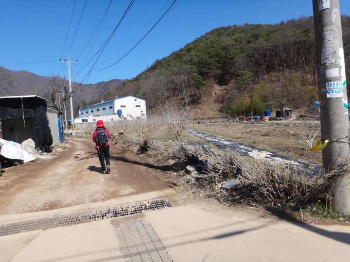 이대식품 이미지