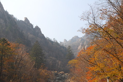 오색주점 이미지