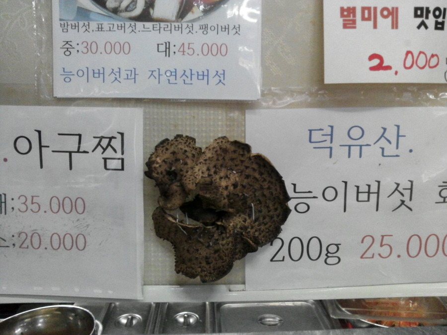 능이칼국수 이미지