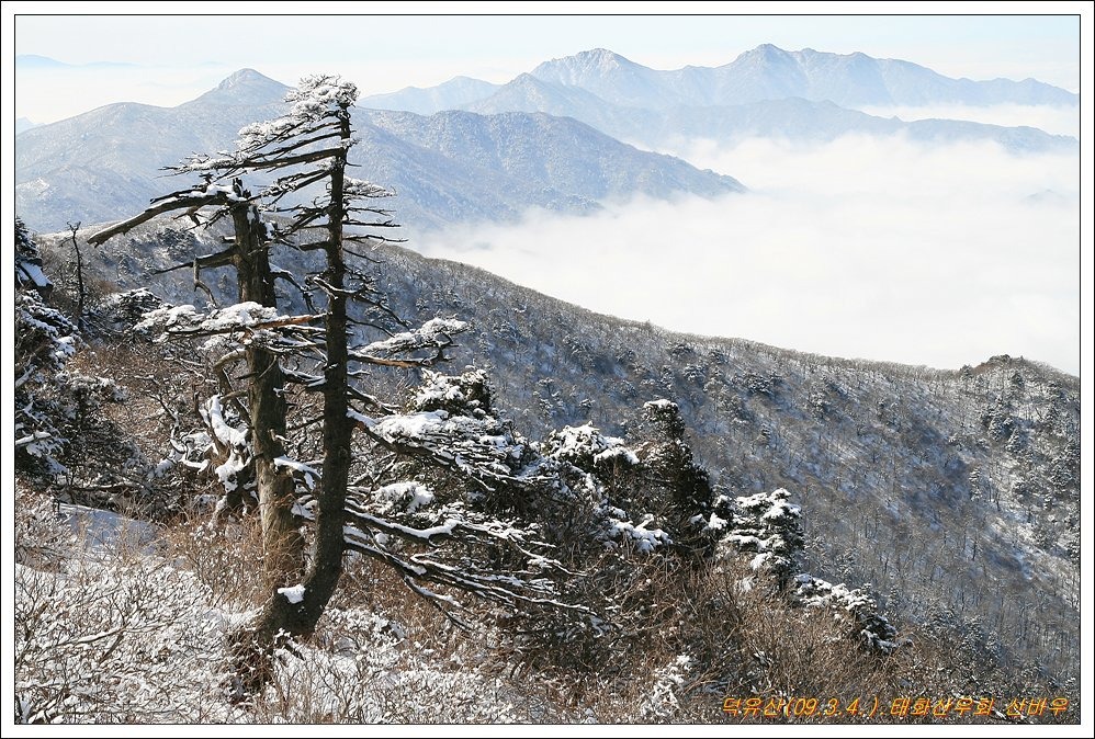 인천태화관광 이미지