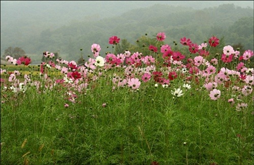 하늘이야기 이미지