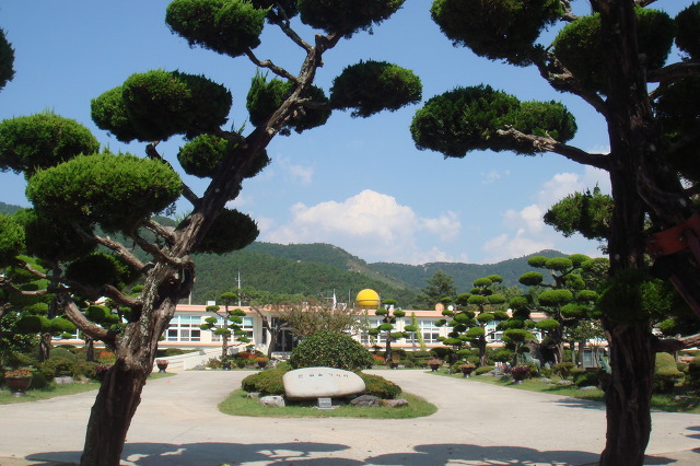 고운꽃 이미지