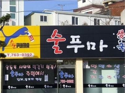 술푸마 이미지