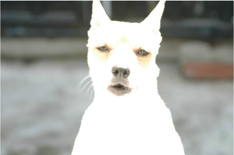 찾음 이미지
