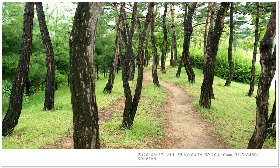 여여 이미지