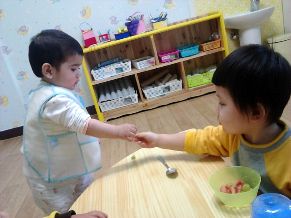참나무 3형제 이미지