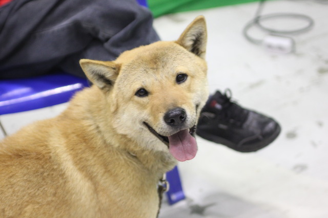참진 이미지