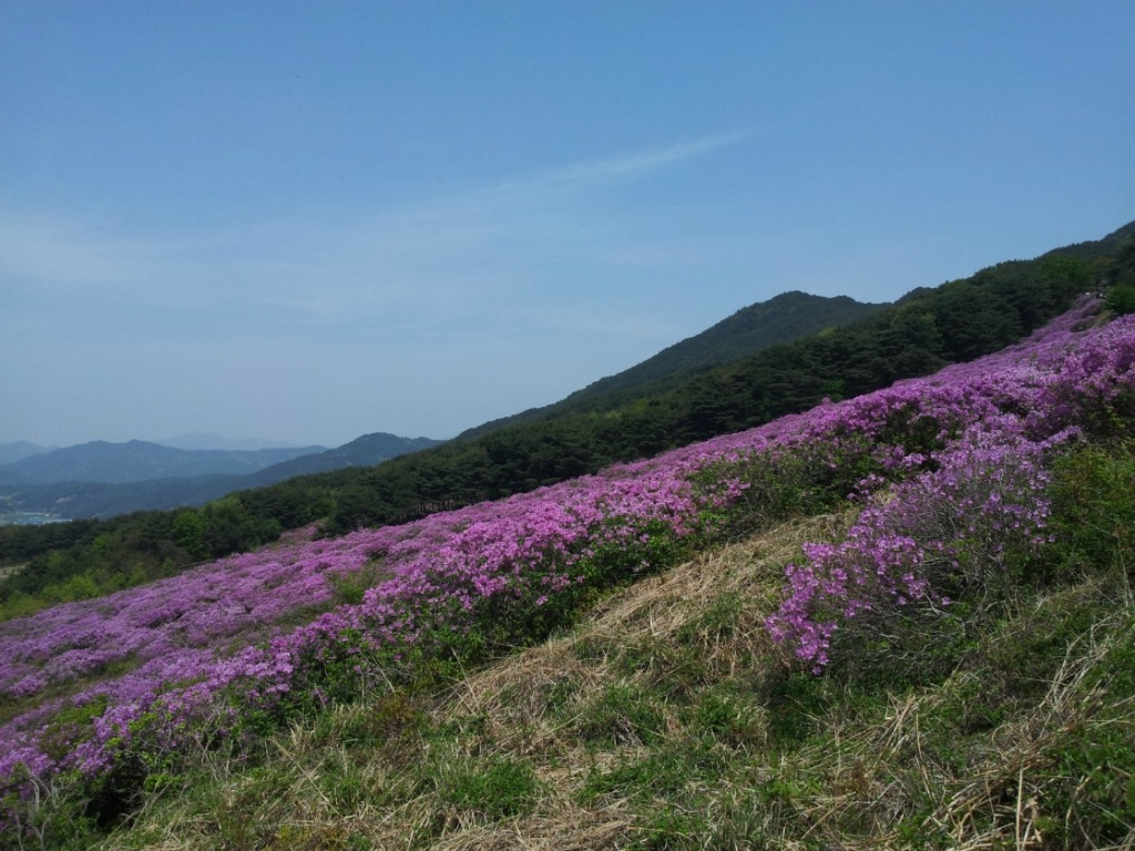 간바 이미지