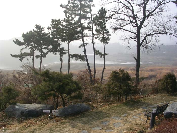 Lee's 이미지