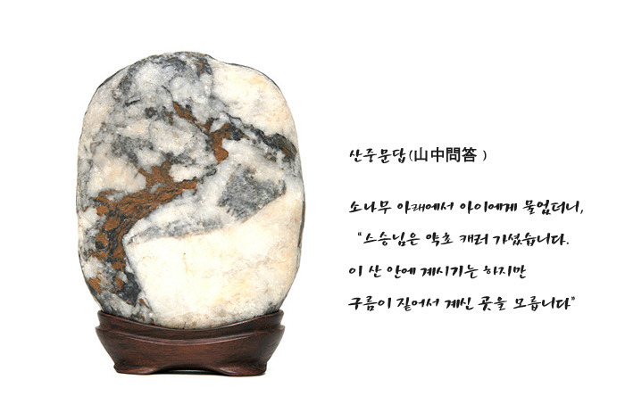 소나무풍경 이미지