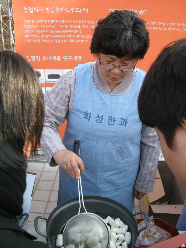테라마드레 이미지