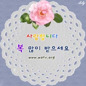 안*식 이미지