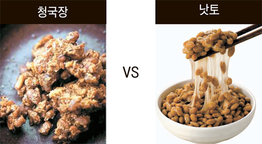 더 낫도 이미지