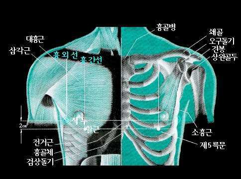 태음 이미지