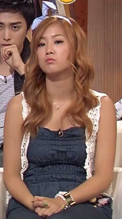 스펀지 이미지