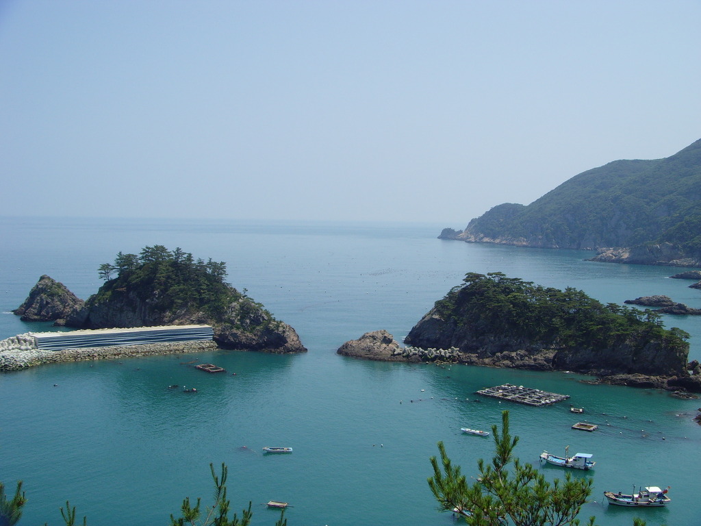홍도 이미지