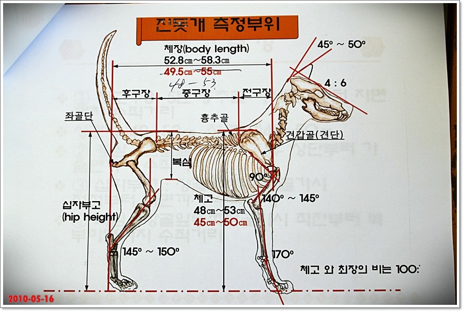 느티나무산장 이미지