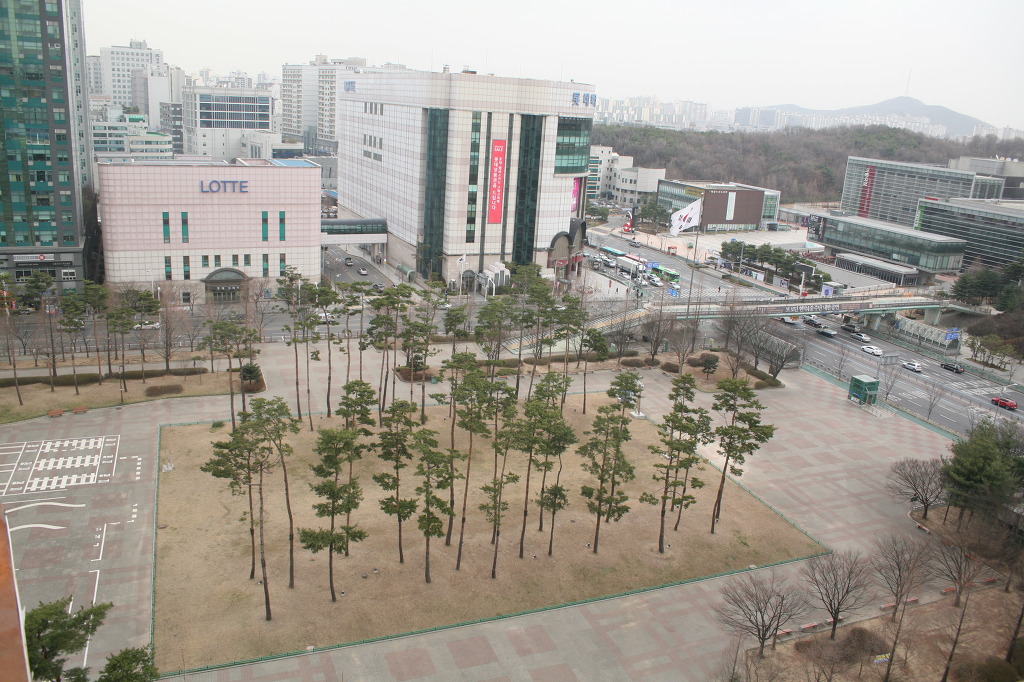 윙윙댄스스포츠 이미지