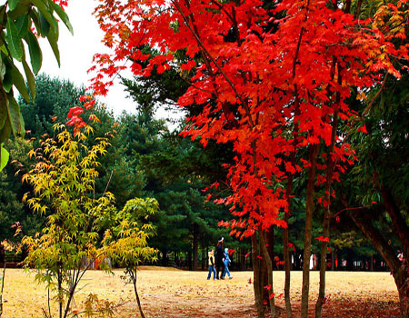 세로운 이미지