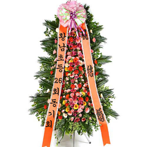김효림 이미지