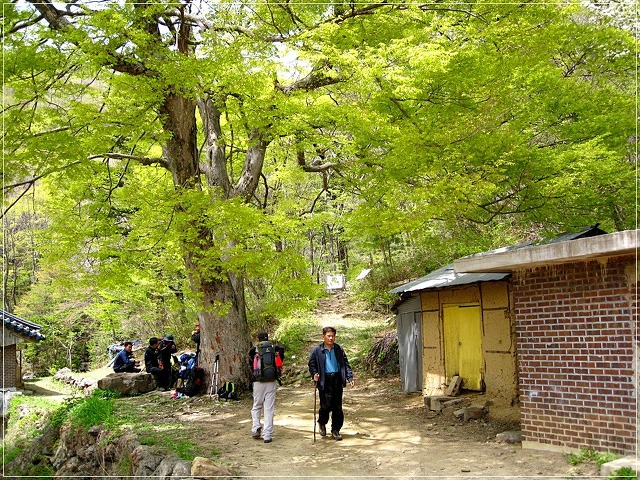부용불교사 이미지